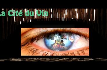 La Cité du Vin | What To See In Bordeaux France | Monki Twin