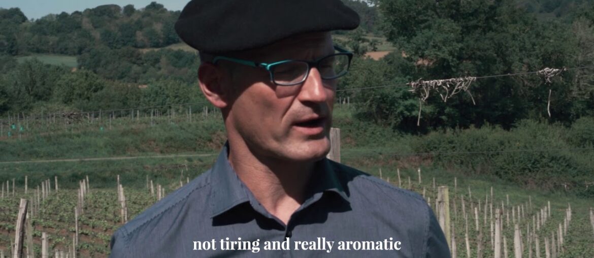 La Petite Plume tasting in Plaimont vineyards