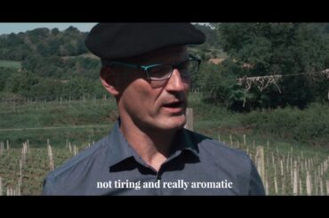 La Petite Plume tasting in Plaimont vineyards