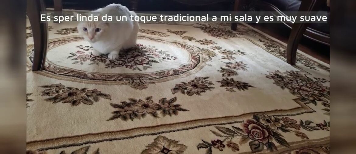 Review: Pastoral Medallion Light Blue French European Formal Traditional 4×5 (3'11" x 5'3" Area… Review: Pastoral Medallion Light Blue French European Formal Traditional 4x5 (3'11" x 5'3" Area...