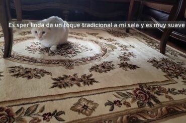 Review: Pastoral Medallion Light Blue French European Formal Traditional 4x5 (3'11" x 5'3" Area...