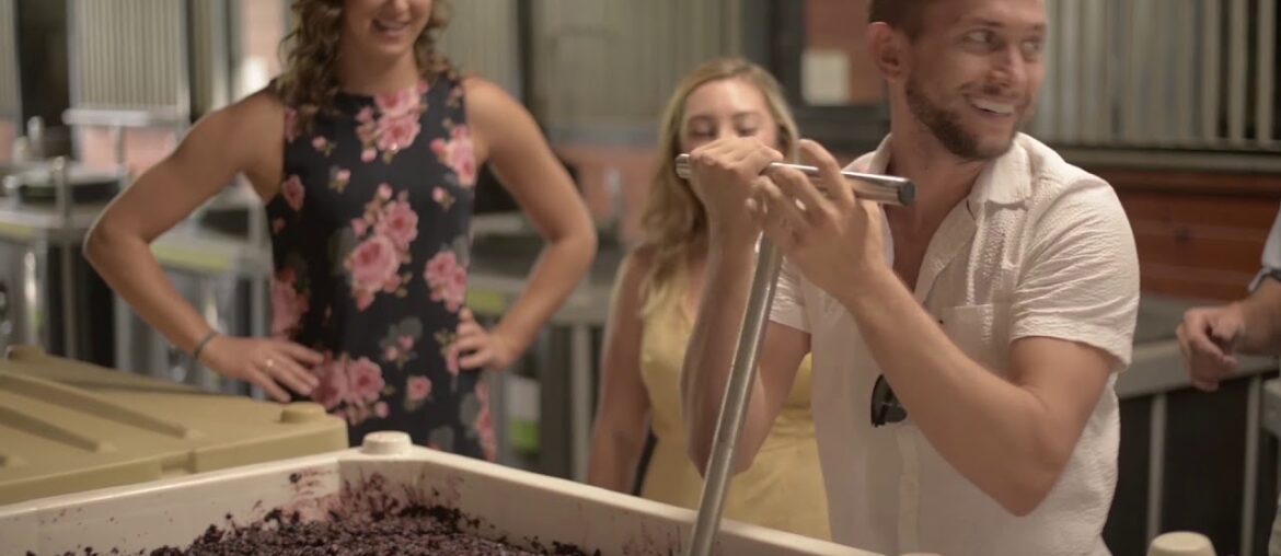 Sebastien Noel  (MyFrenchVineyard) - Wine Education