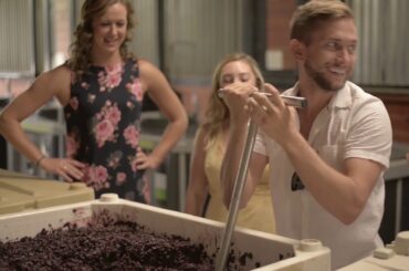 Sebastien Noel  (MyFrenchVineyard) - Wine Education