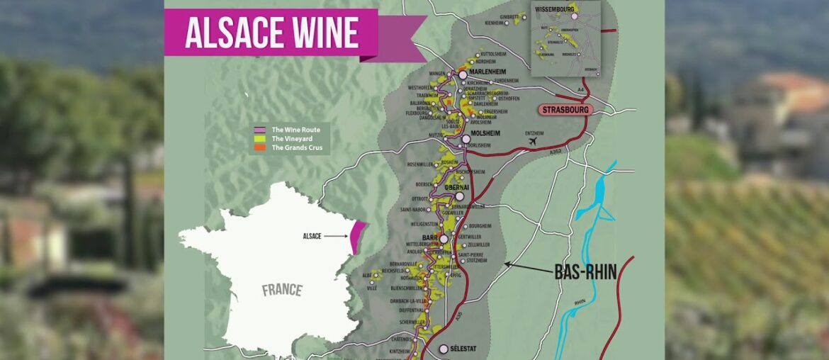 French Wine-Alsace | United Distributors | www.udiga.com