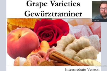 Grape Varieties - Gewurztraminer Intermediate Version for WSET L2