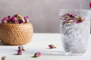 French Rose 法国玫瑰