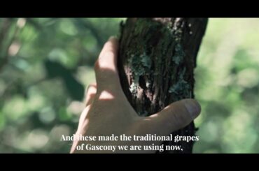 Discover Moonseng a PGI Côtes de Gascogne red wine