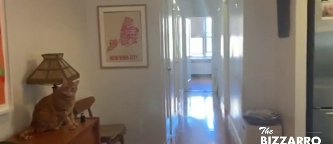 96 Arden Street 6E Video Walkthrough 96 Arden Street 6E Video Walkthrough