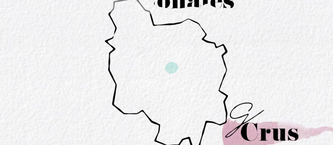 Burgundy Wines Ranking