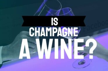 Is Champagne a Wine?