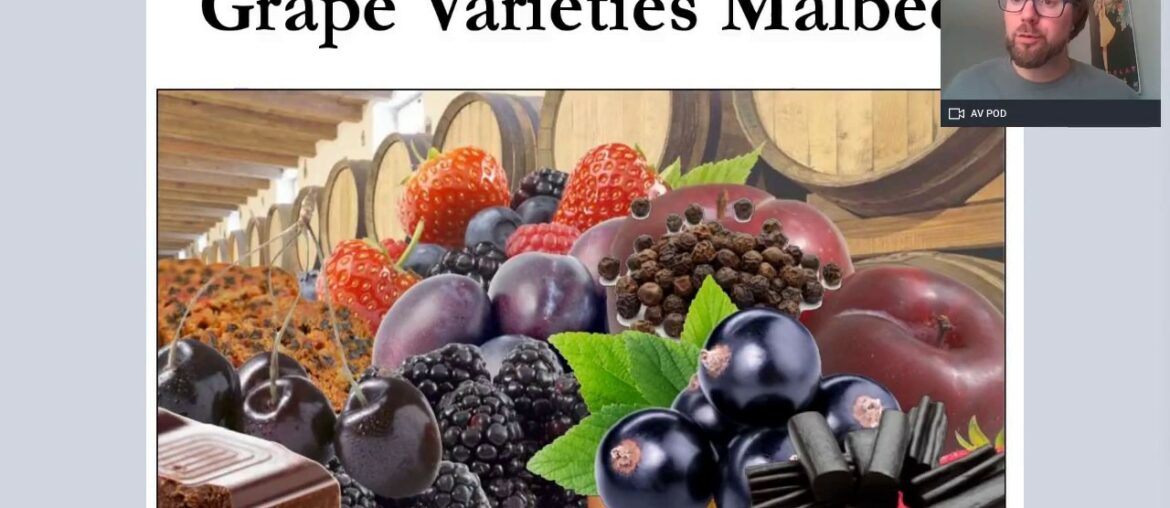 Grape Varieties - Malbec Intermediate Version for WSET L2