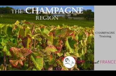 Introduction to French Champagne area