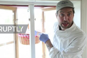 Table for One: COVID-proof solo dining in empty Swedish meadow