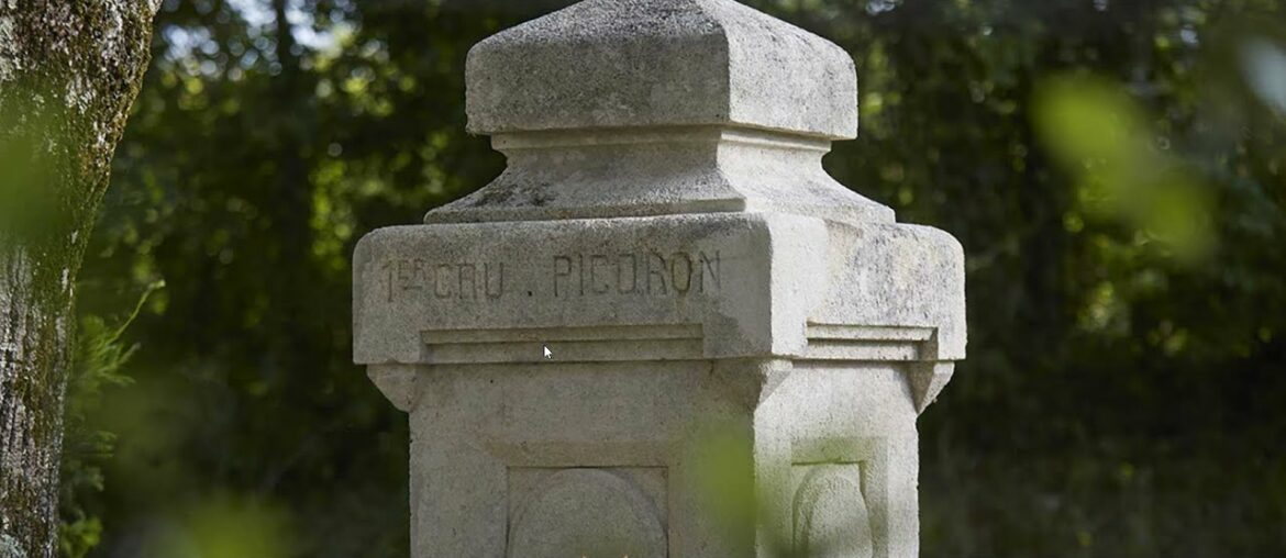 Chateau Picoron BX Right Bank