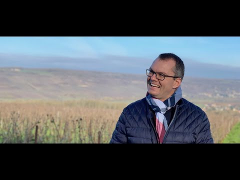 Wine Berserkers Livestream Video Session with Benoit Déhu Wine Berserkers Livestream Video Session with Benoit Déhu