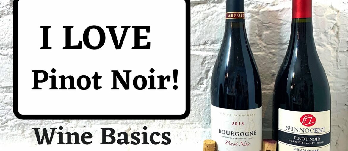 I Love Pinot Noir and So Should You!!! Wine Basics I Love Pinot Noir and So Should You!!! Wine Basics