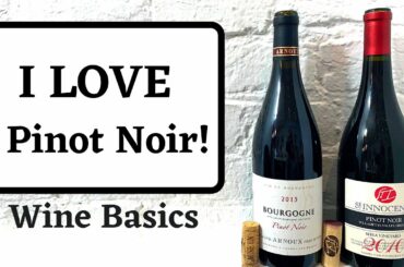 I Love Pinot Noir and So Should You!!!  Wine Basics