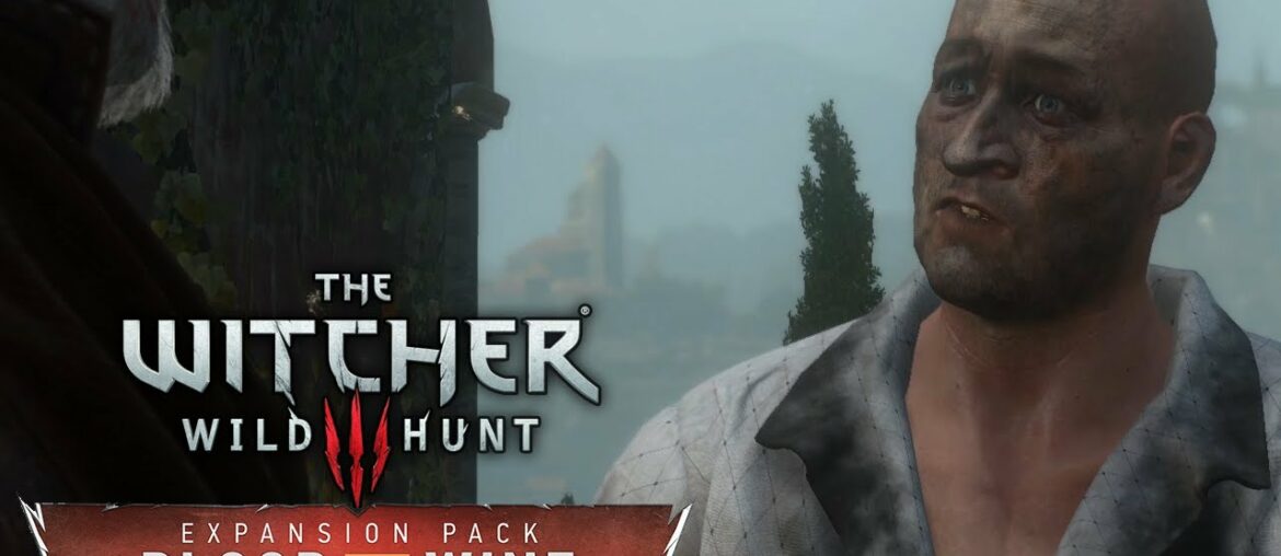 THE WITCHER 3: BLOOD AND WINE ⚔️ Dieser Kampf ist ein SKANDAL!11 | #209