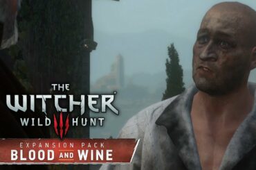 THE WITCHER 3: BLOOD AND WINE ⚔️ Dieser Kampf ist ein SKANDAL!11 | #209