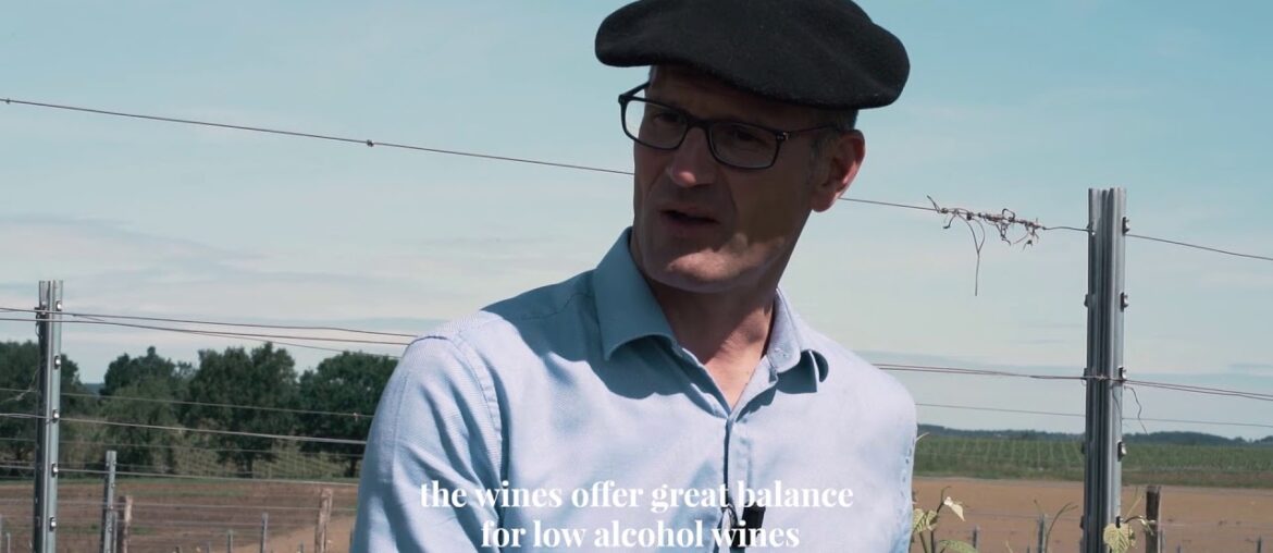 Voici Mon Secret, a IGP Côtes de Gascogne white wine from Gascony