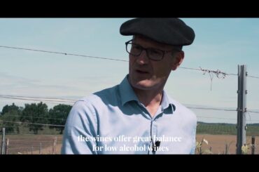 Voici Mon Secret, a IGP Côtes de Gascogne white wine from Gascony