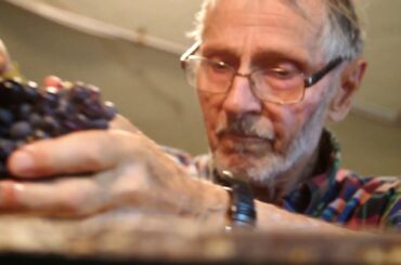 Traditional Italian Wine Making (4K)