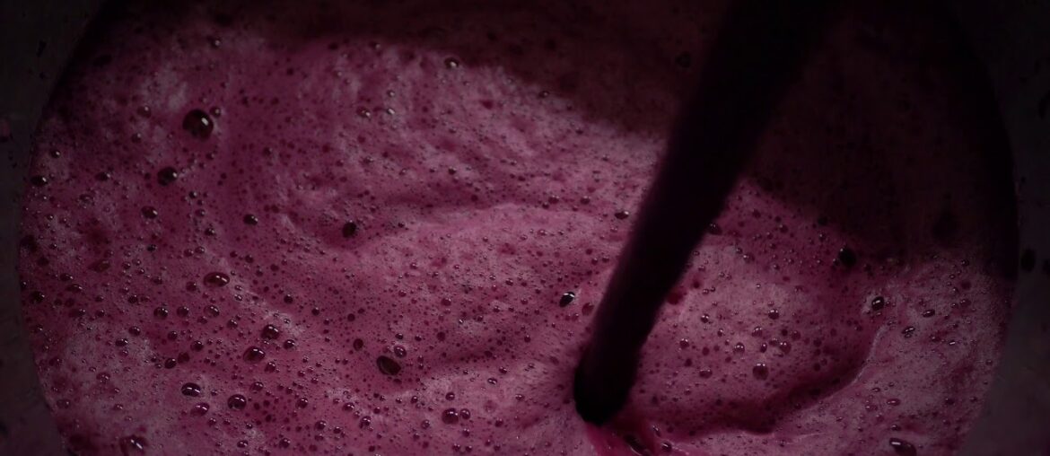 A stunning look into french winery, Domaine Combier!