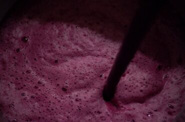 A stunning look into french winery, Domaine Combier!