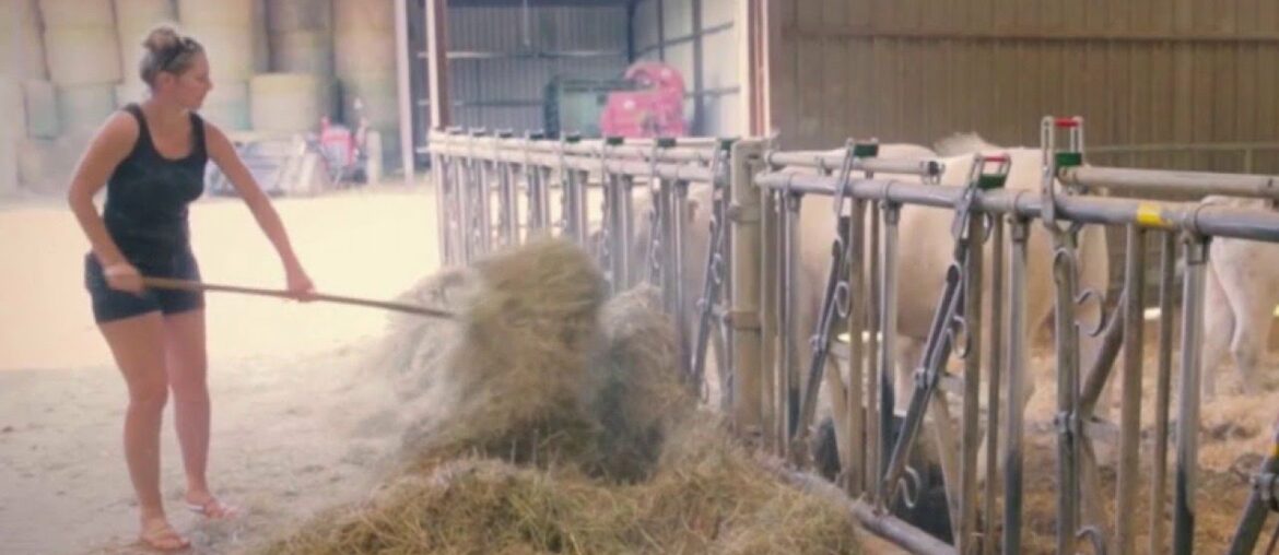 Terroir - Cultivons-nous !