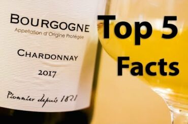 Chardonnay Wine 101 - A Beginner's Guide