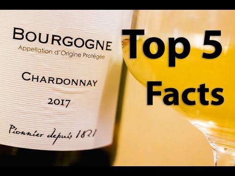 Chardonnay Wine 101 – A Beginner's Guide Chardonnay Wine 101 - A Beginner's Guide