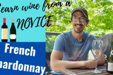What Does A Wine Novice Know About French Chardonnay? Watch My Wine Journey - Tasting #2!