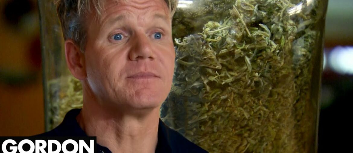 "High As A Kite" Owner Shows Gordon His Medicinal Marijuana | Hotel Hell
