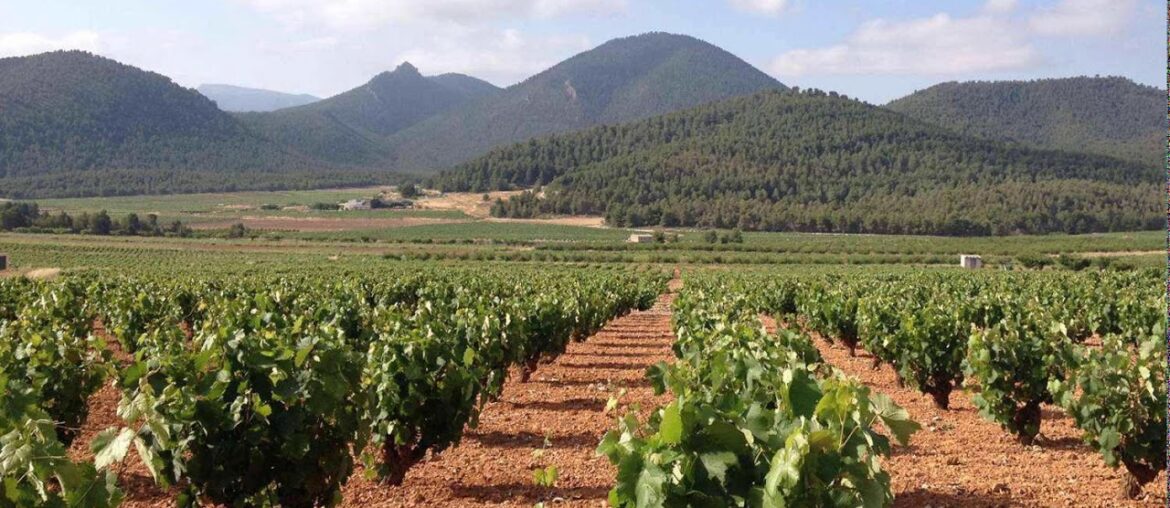 Ep 326: The Best Spanish Wines You've Never Heard of -- Jumilla and Yecla