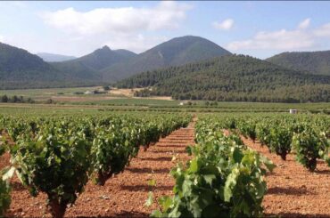 Ep 326: The Best Spanish Wines You've Never Heard of -- Jumilla and Yecla
