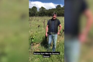 Samuel Guibert from Mas de Daumas Gassac