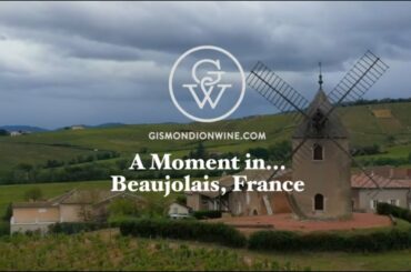 A Moment in Beaujolais, France