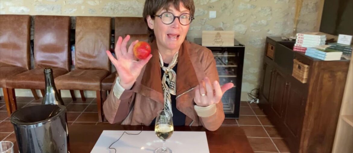 Virtual Discovery Wine Course – Château Feely Virtual Discovery Wine Course - Château Feely