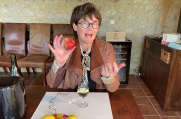 Virtual Discovery Wine Course - Château Feely