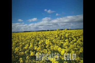 Poulet au Vinaigre with Broighter Gold Rapeseed Oil