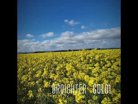 Poulet au Vinaigre with Broighter Gold Rapeseed Oil Poulet au Vinaigre with Broighter Gold Rapeseed Oil