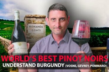 Finest Burgundy Wines | Your Guide to Top Pinot Noirs | Vosne-Romanée, Pommard, Gevrey-Chambertin...