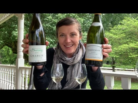 The Vino Cru: Alexa Talks Chardonnay on Chardonnay Day! The Vino Cru: Alexa Talks Chardonnay on Chardonnay Day!