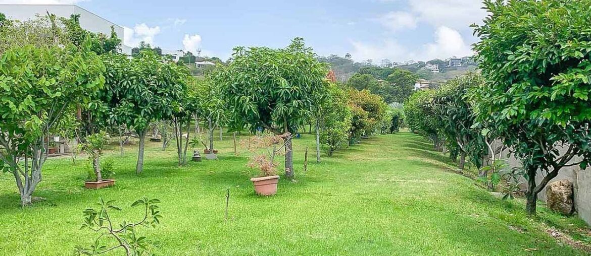 Great Lot with Beautiful French Provenzal Style House in Escazu San Jose Great Lot with Beautiful French Provenzal Style House in Escazu San Jose