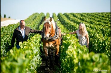 Wine Berserkers Zoom Session with Mathilde Margaine of A. Margaine