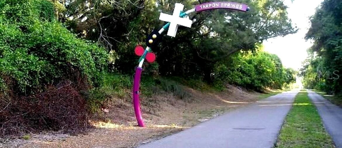 Homes for sale – 1056 WEATHERSFIELD DR, DUNEDIN, FL 34698 Homes for sale - 1056 WEATHERSFIELD DR, DUNEDIN, FL 34698