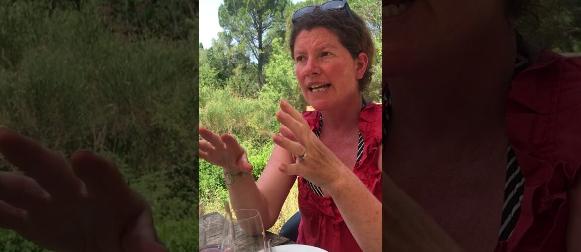 Goat Cheese South of France