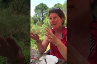 Goat Cheese South of France