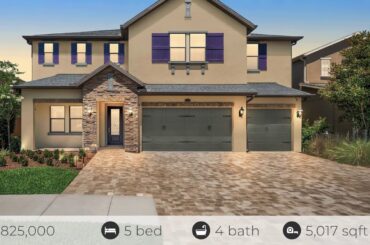 14304 Avon Farms Dr, Tampa, FL