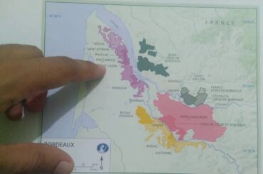 Bordeaux wine map